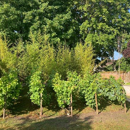 Bed and Breakfast Pierres Et Jardins Санлис Экстерьер фото