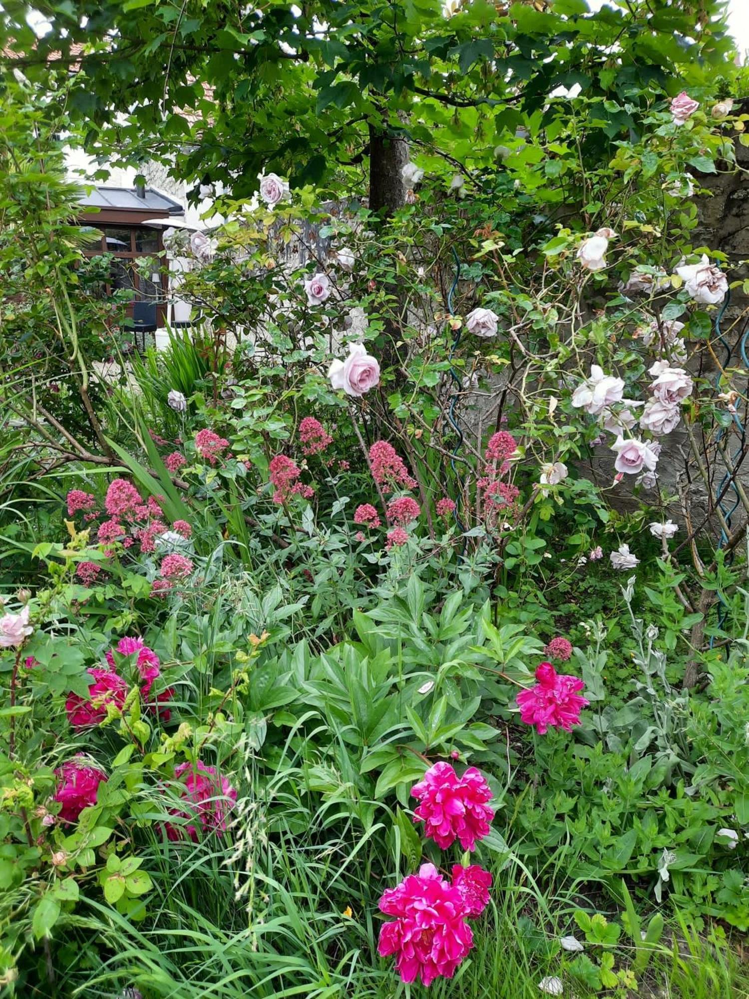 Bed and Breakfast Pierres Et Jardins Санлис Экстерьер фото